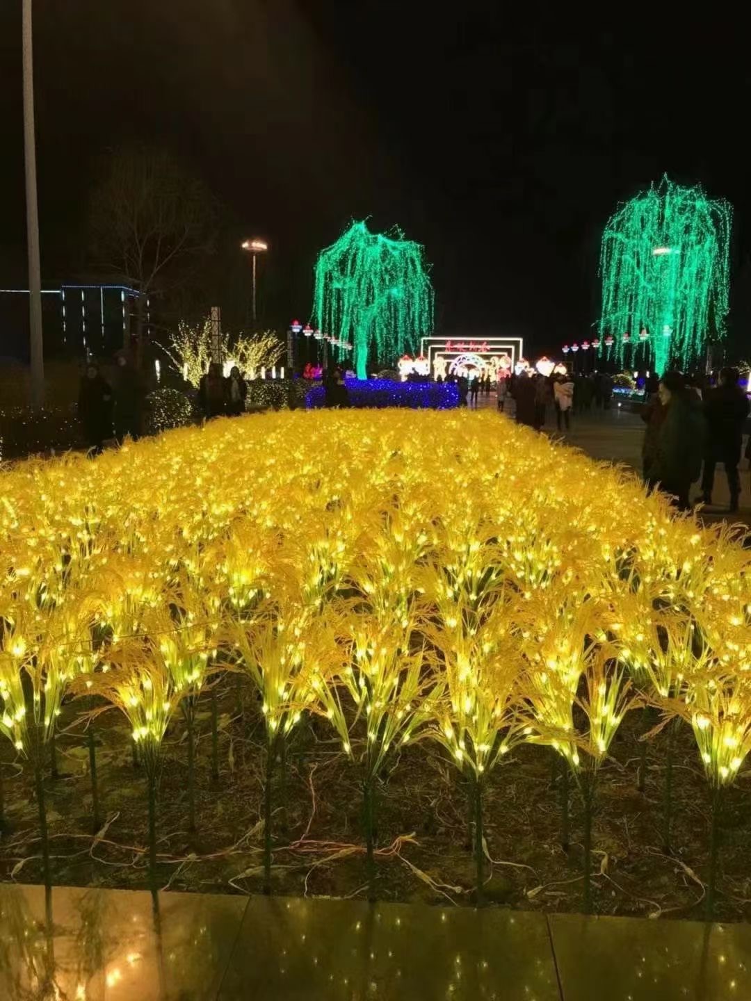 吉林案例二十